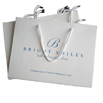 High quality custom logo printed paper bag for gift shopping packaging